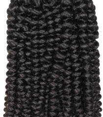 Prarvi Kinky Curls - Raw Human Hair for Beautiful Afro Look