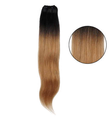 Natural Black(#1B)-Ash blonde (#27) Ombre Hair