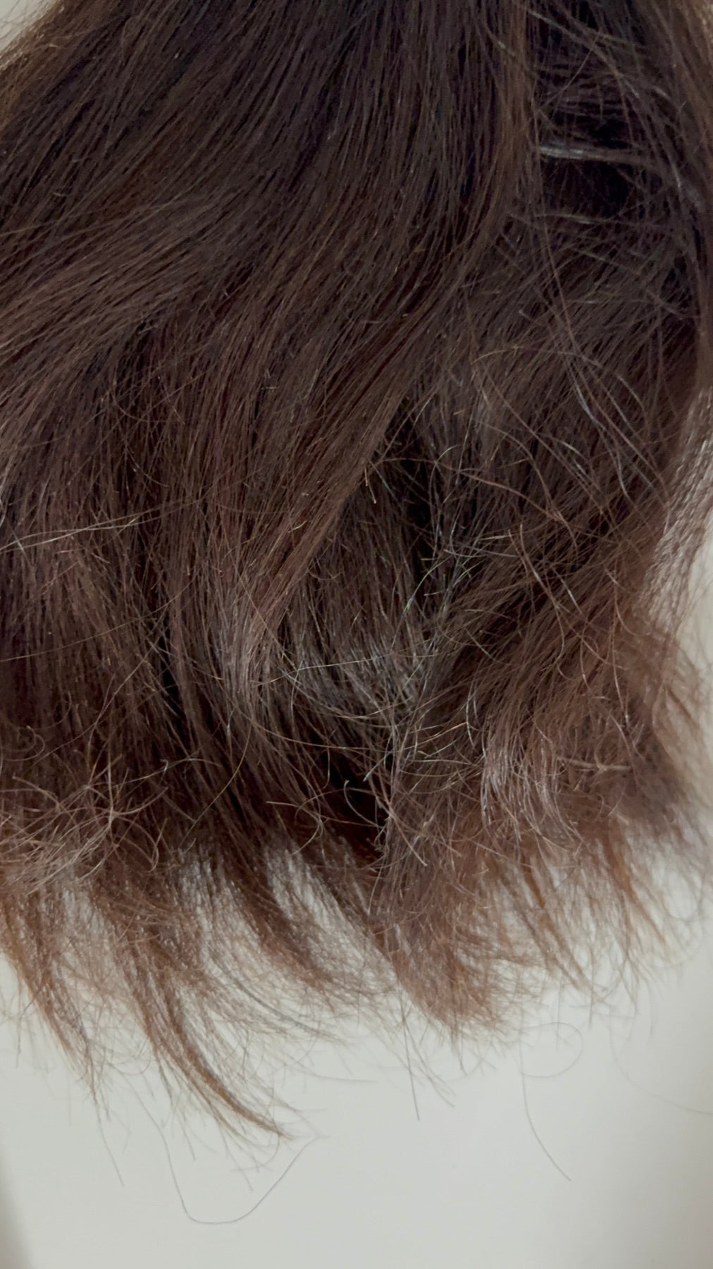 Close-up of split ends and roughness on raw damaged hair tester